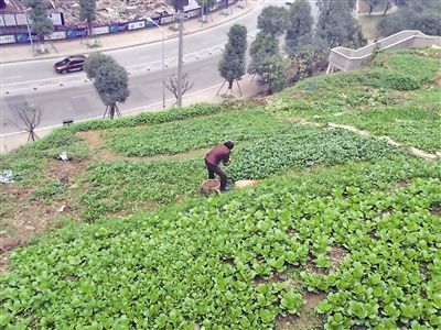 �r�Y�S���x�������֮�˜�1.jpg