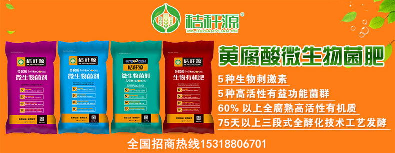 �DƬ1.jpg