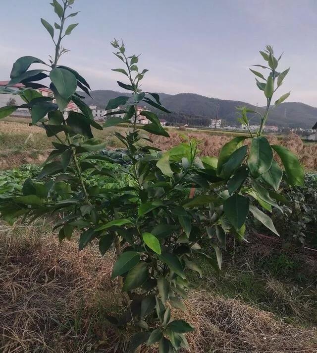 囄���1.jpg