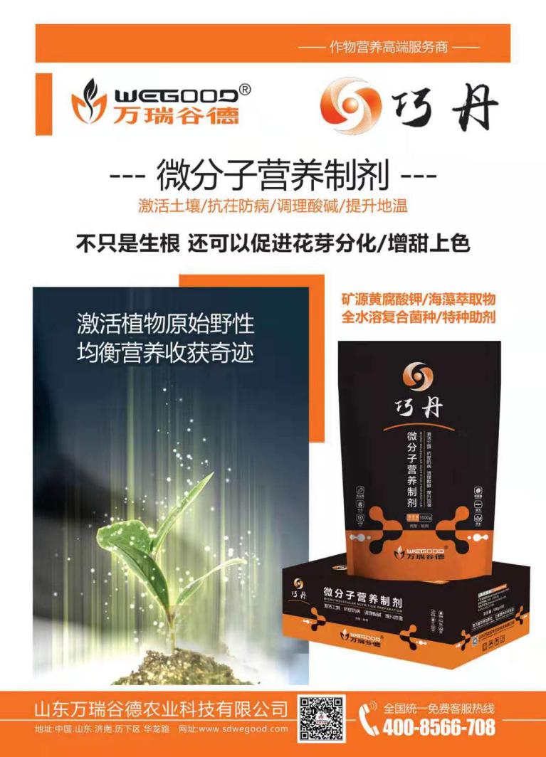 囄���1.jpg