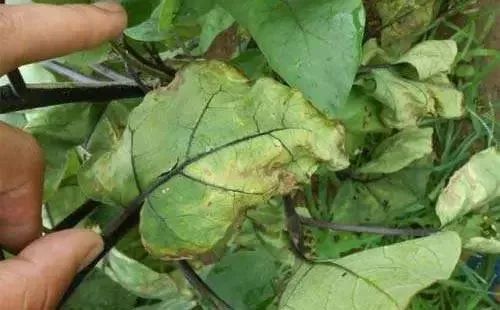 �DƬ4.jpg