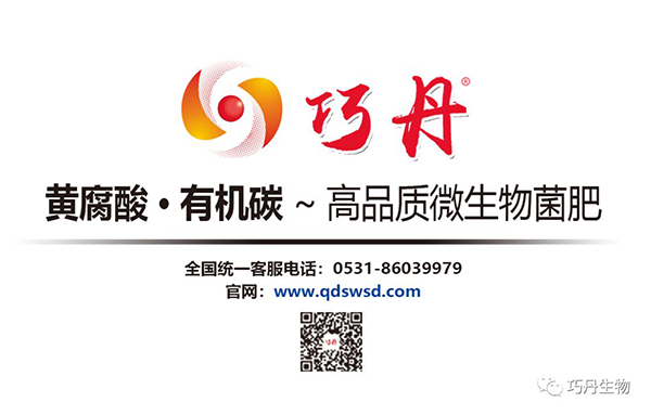 囄���7.png