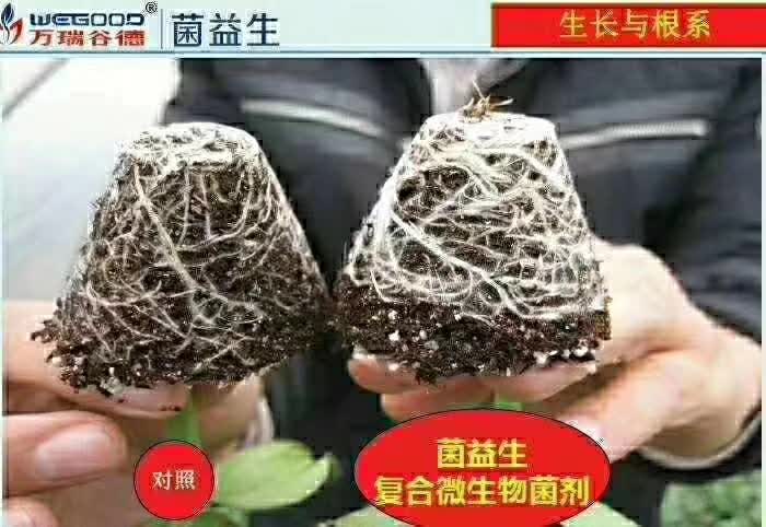 囄���3.jpg