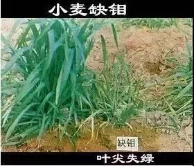 ΢�ňDƬ_20211218094449.jpg