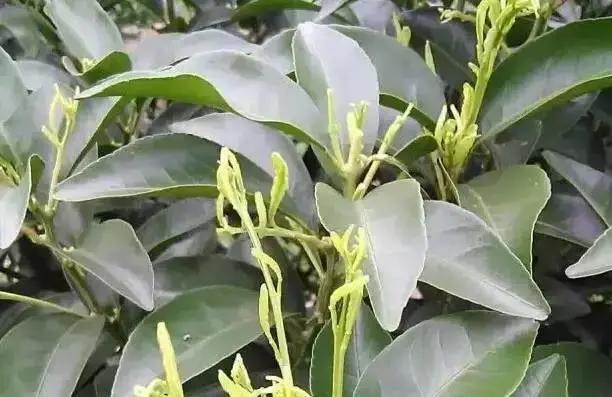 ΢�ňDƬ_20211218094503.jpg