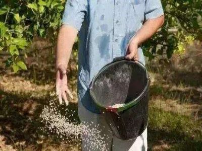 ���ϴ����������N��С���?.jpeg