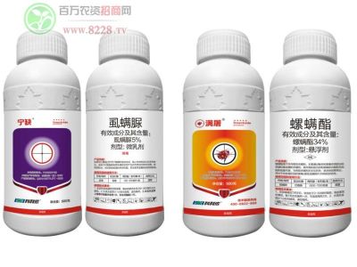 ���K�����r�츣*�r�I4.jpg