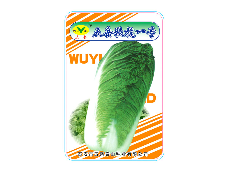 ̩���Ǻ�����̩ɽ�N�I(y��)���޹�˾