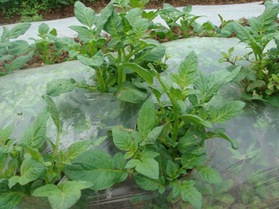 �۹���M�rĤ���޹�˾