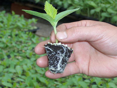 �۹���M(j��n)�r(n��ng)Ĥ���޹�˾