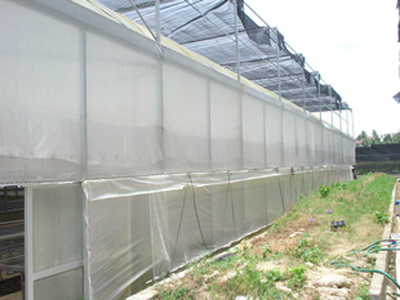 ���ϳ��A�ܘI���޹�˾