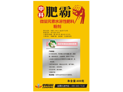 �޻�������֦�I�B