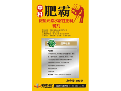 ���݌���