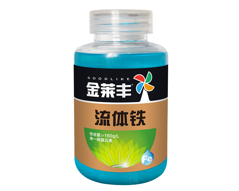 ���w�F