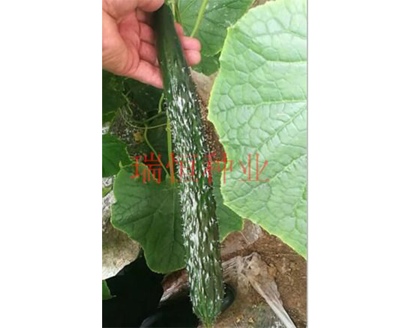 �S�ϷN��-ȫ��102������-���N�I(y��)