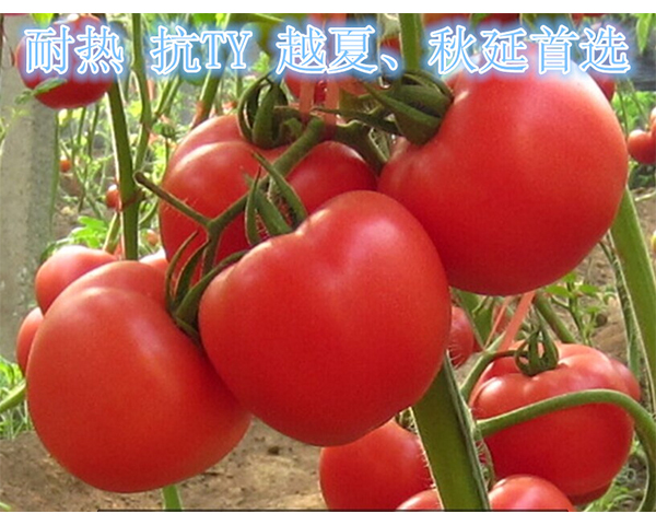 ���t���N��-���112-���N�I(y��)