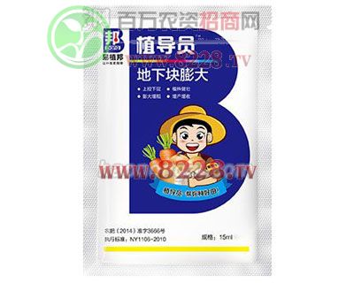 ֲ���T-���K���-��ֲ��