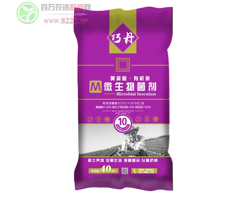 �ɵ�10�|---�w��