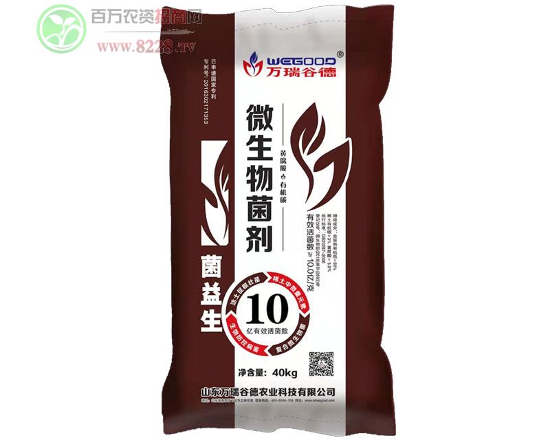 �ۄ�10�|΢�������