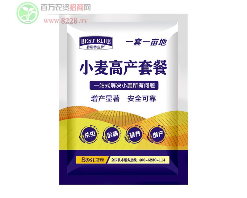 С���߮a�ײ�