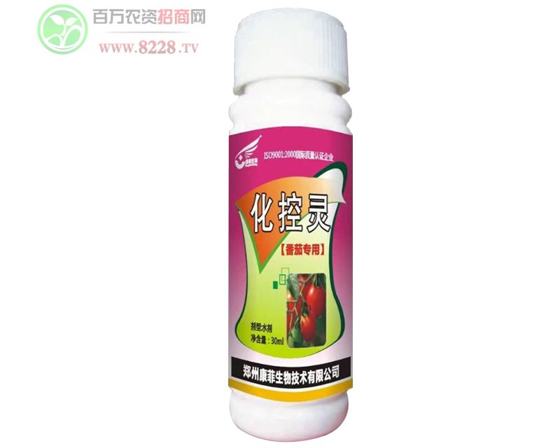 �����`���Ѫ���