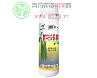�߻����L�������Ǫ�����30ml