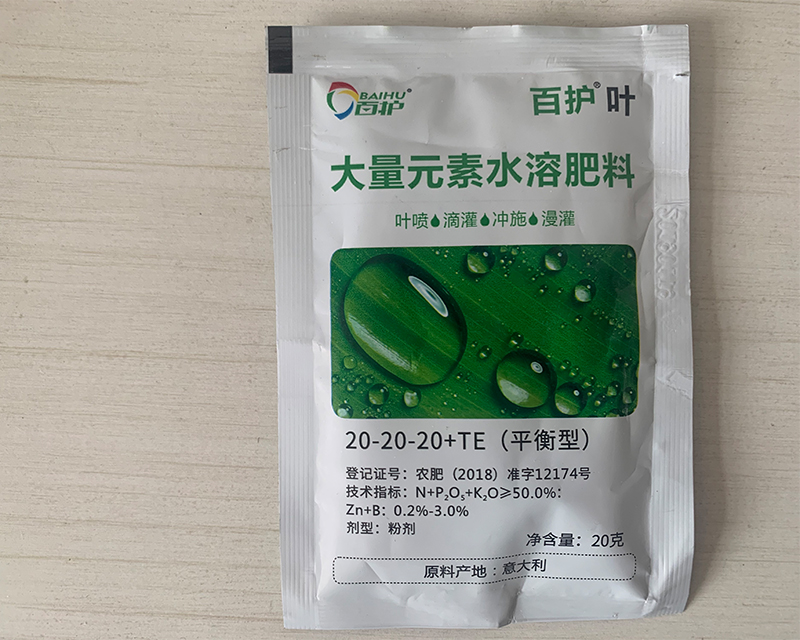 ���o���~20��