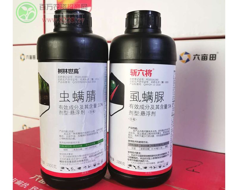 �x����