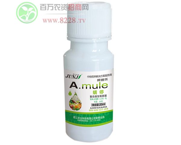 ��ͣ-20ml