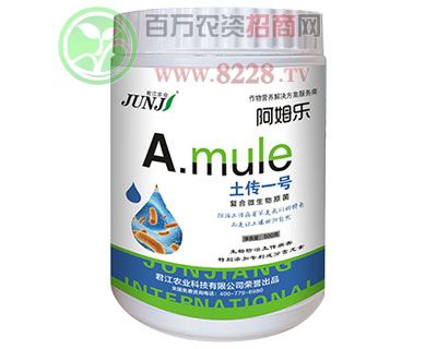����һ̖-500g