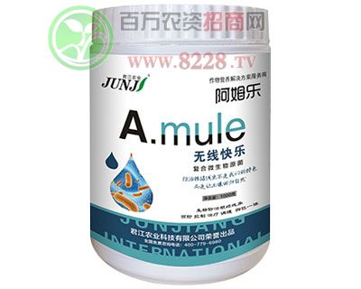 �o���옷-1000g