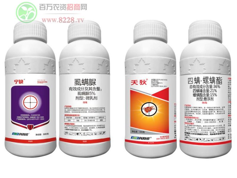 5%ʭ���壨�����ټt֩�몚��������+36%����