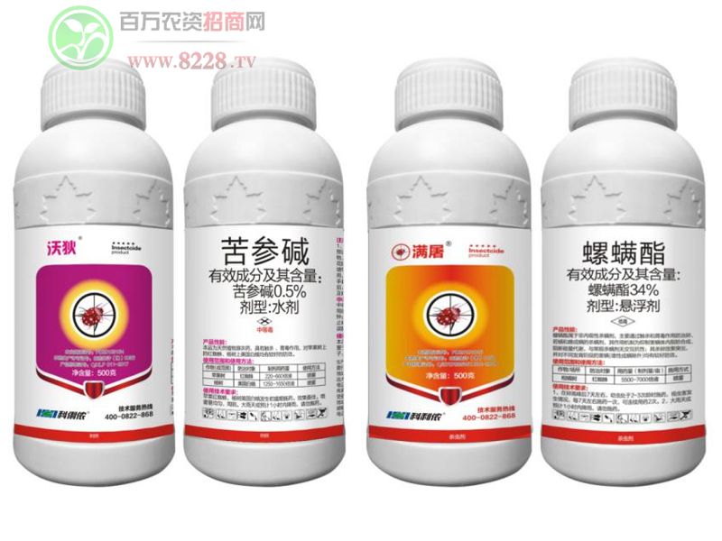 0.5%�����A�������ټt֩�몚��������+34%��