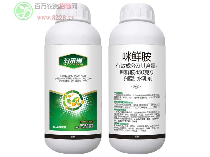 450��/�����r��-��ɔX-�����r