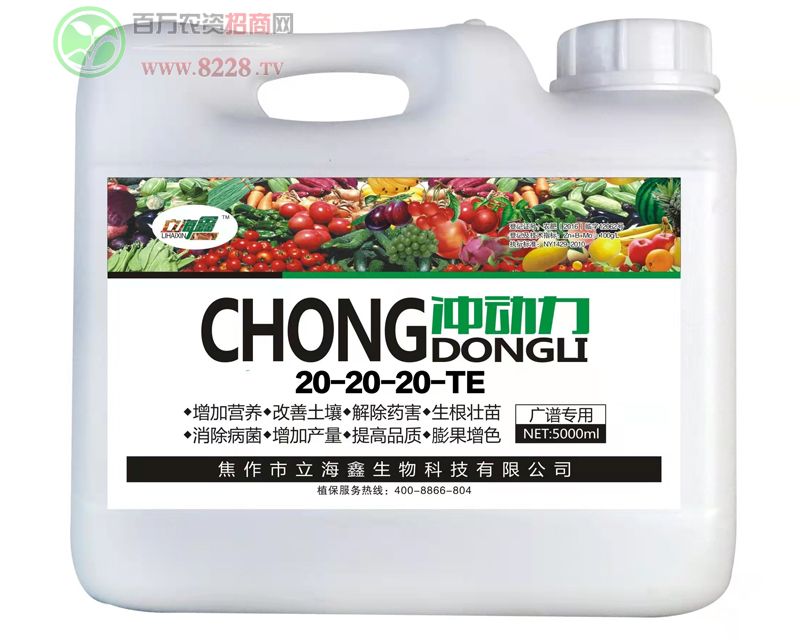 �_����20-20-20-TE���V�V��(d��)����