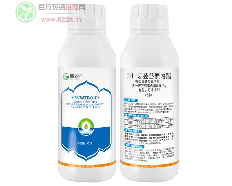 24-���|̦�؃���100ml