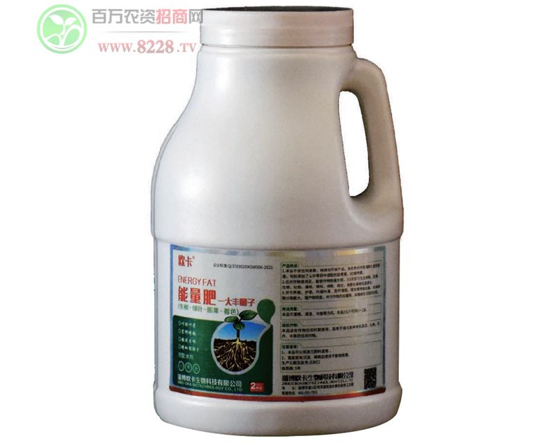 ������-�W��