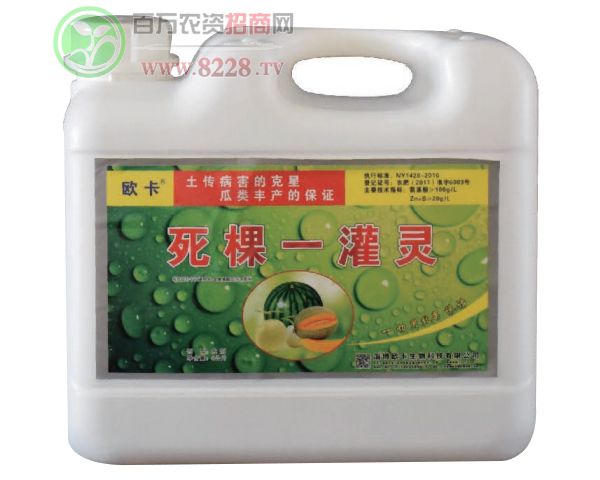 ����һ���`-�W��