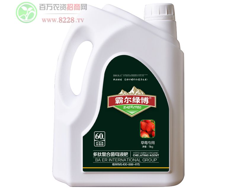 ��ݮ����