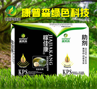 ����ɭ�Gɫ�Ƽ����޹�˾