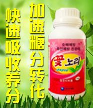 �V�݃�(y��u)��˼�r(n��ng)�I(y��)���g(sh��)���޹�˾